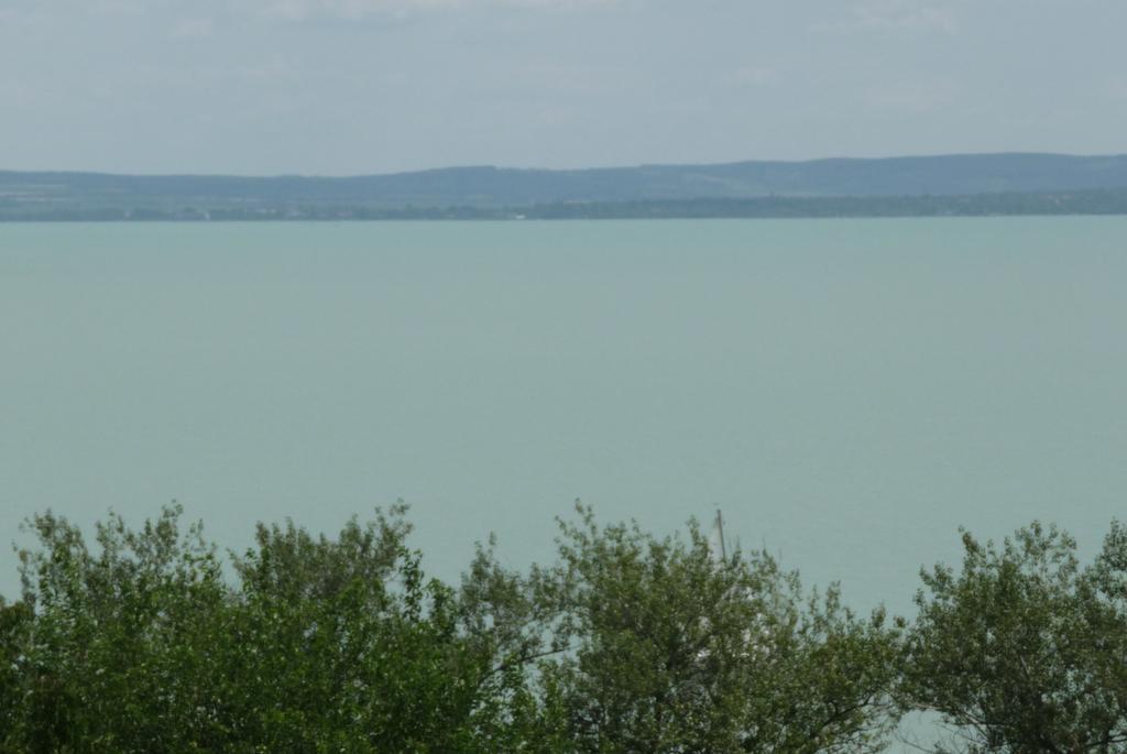 Panorama Vendeghaz Διαμέρισμα Balatonszepezd Δωμάτιο φωτογραφία